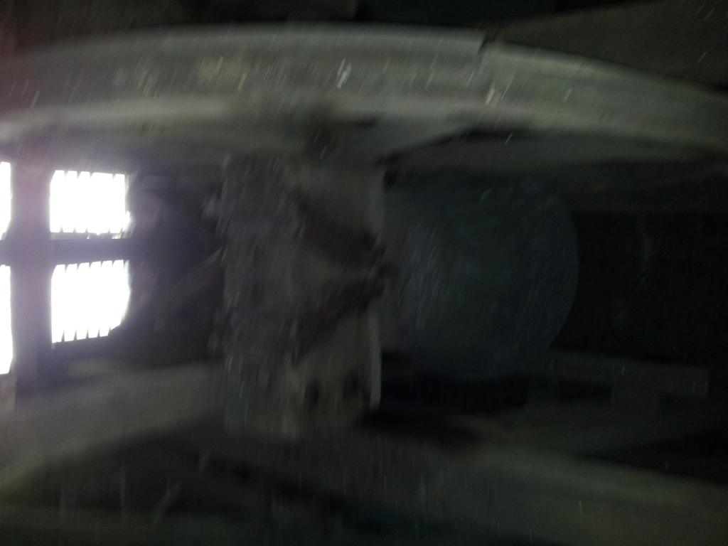 Bell