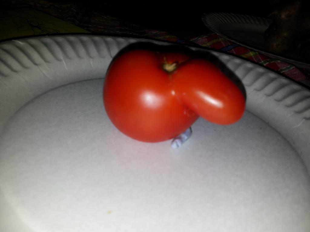 Bent tomato