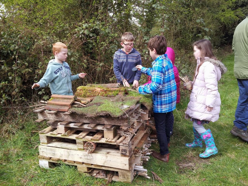 Children making bug hotel