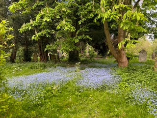 churchyard