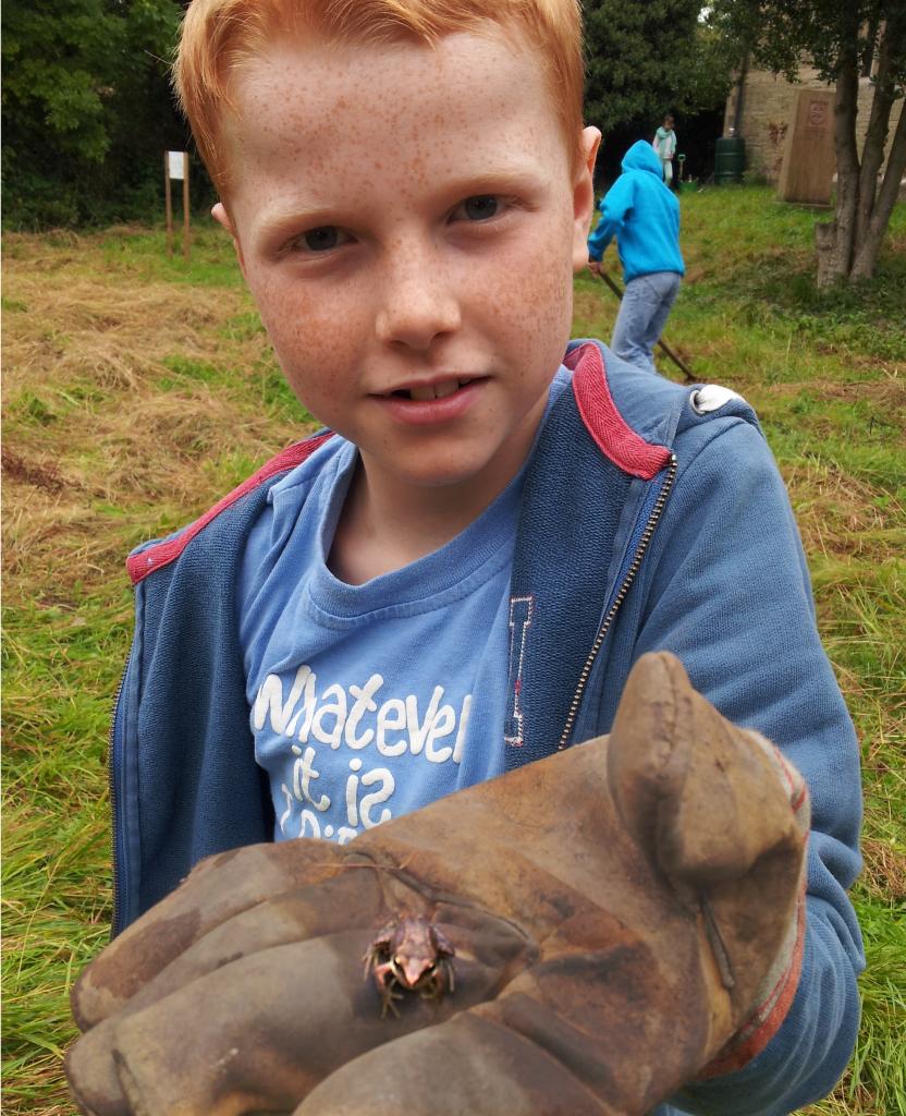 A frog