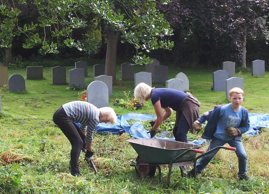 Working in the meadow