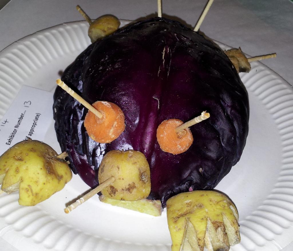A vegetable turtle
