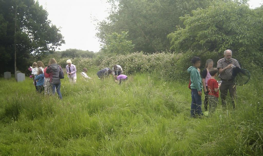 Working on the meadow